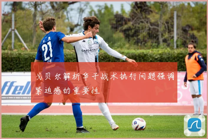 戈贝尔解析华子战术执行问题强调紧迫感的重要性