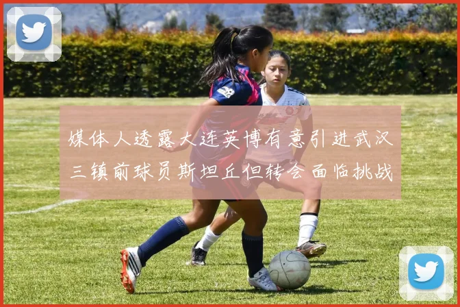 媒体人透露大连英博有意引进武汉三镇前球员斯坦丘但转会面临挑战